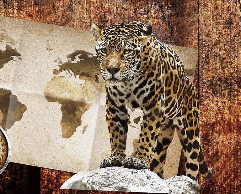 Paten Header Jaguar © WWF