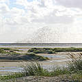 WWF-Erlebnistouren: Langeoog Watt-Tour © Hans-Ulrich Rösner / WWF