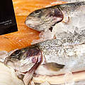 Fisch im Supermarkt © Richard Stonehouse / WWF