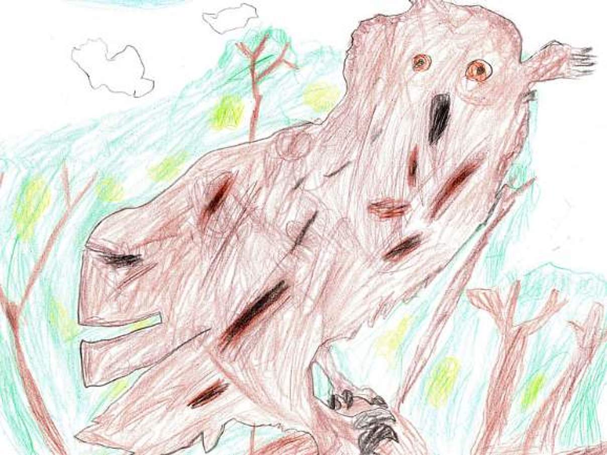 WWF-Junior Lieblingsbild: eine Eule © Paul Grotek