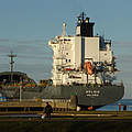 Containerschiff auf der Elbe © Claudia Stocksieker / WWF