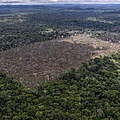 Brandrodung im Amazonas © Marizilda Cruppe / WWF-UK