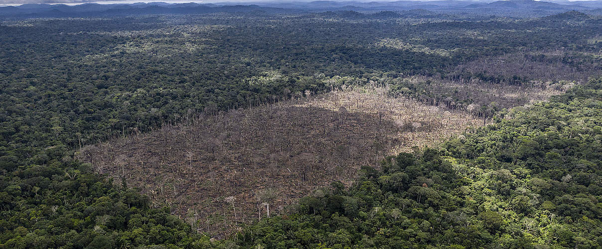 Brandrodung im Amazonas © Marizilda Cruppe / WWF-UK