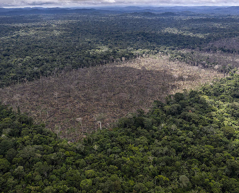 Brandrodung im Amazonas © Marizilda Cruppe / WWF-UK