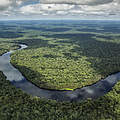 Luftaufnahme des Salonga-Nationalparks