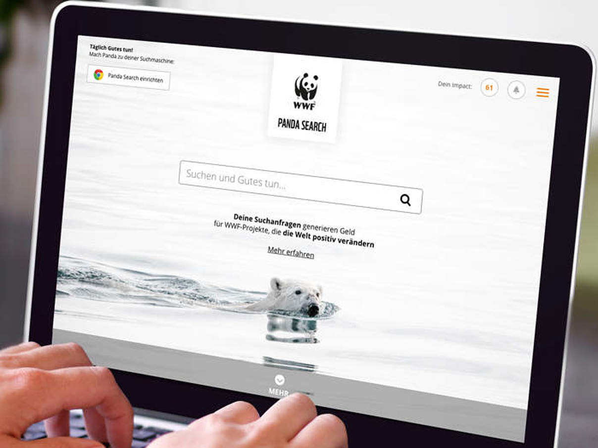 Panda Search - Suchen und Gutes tun