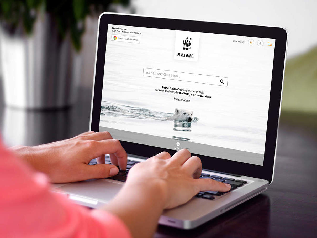Panda Search - Suchen und Gutes tun