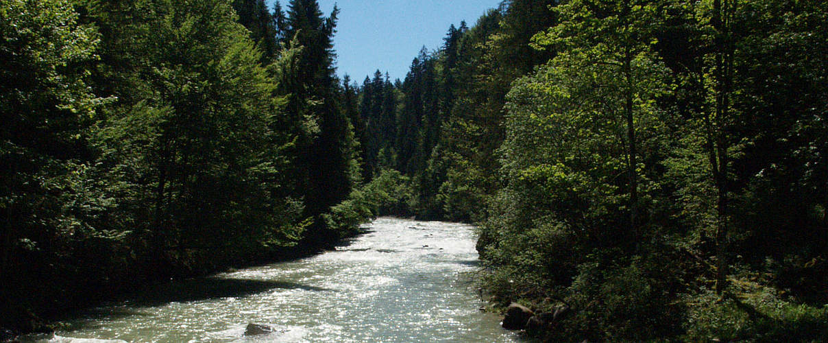 Ammerschlucht © Sylvia Becker / WWF