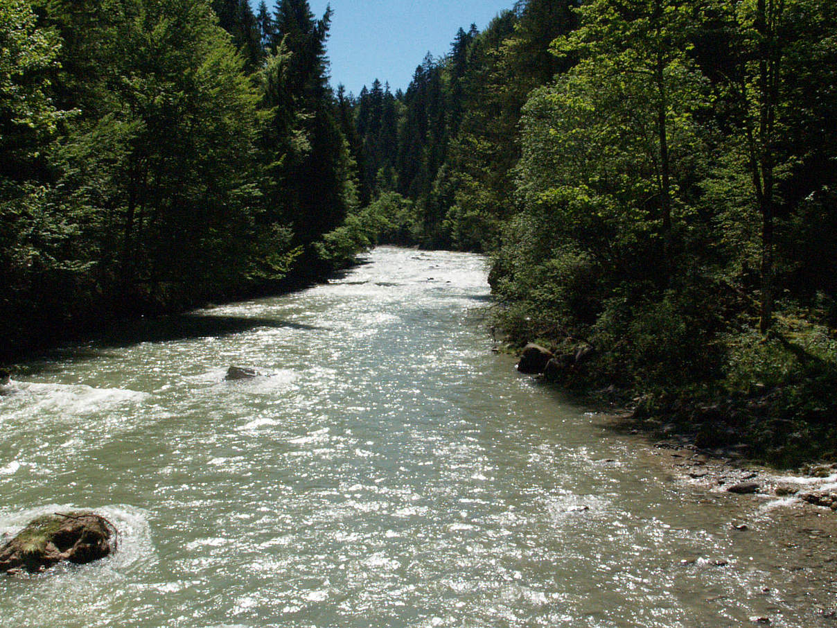 Ammerschlucht © Sylvia Becker / WWF