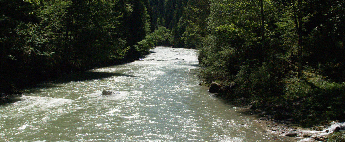 Ammerschlucht © Sylvia Becker / WWF