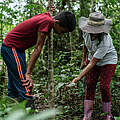 Wiederaufforstung © Luis Barreto / WWF UK