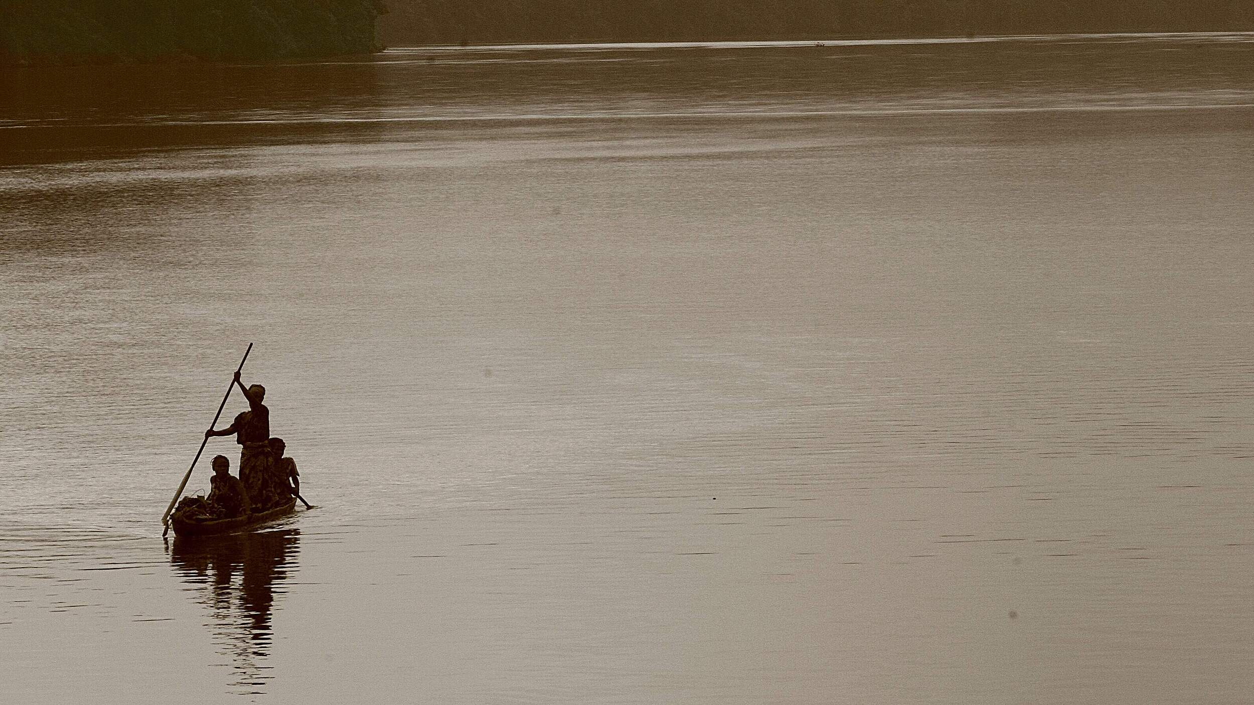 Dzanga Sangha – Krieg im Elefantenwald © WWF
