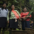 In Ecuador leben Kichwa-Kleinbäuerinnen seit Jahrhunderten von und mit dem Regenwald © Gabriel Vanerio / WWF Ecuador . 