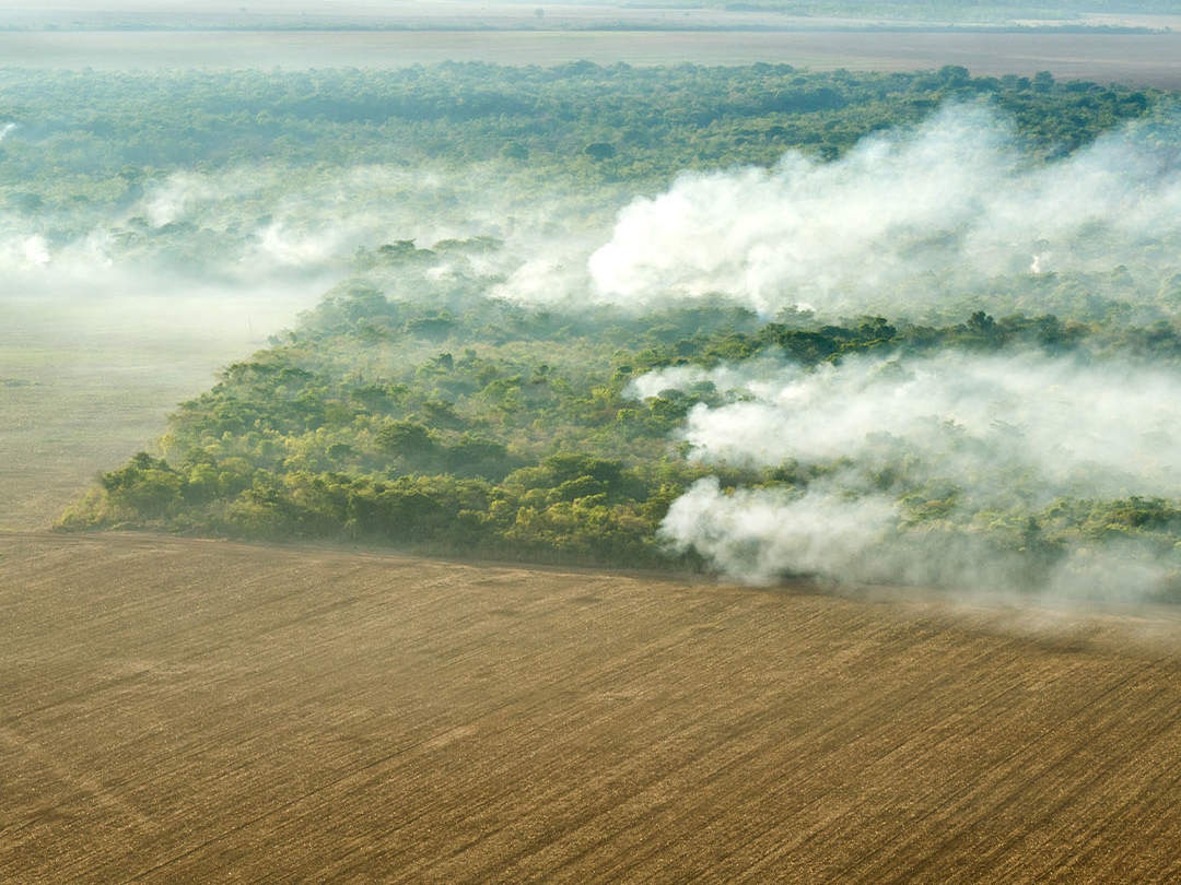 Ein Stück Regenwald, umgeben von Ackerfläche, verbrennt © Days Edge Productions / WWF-US