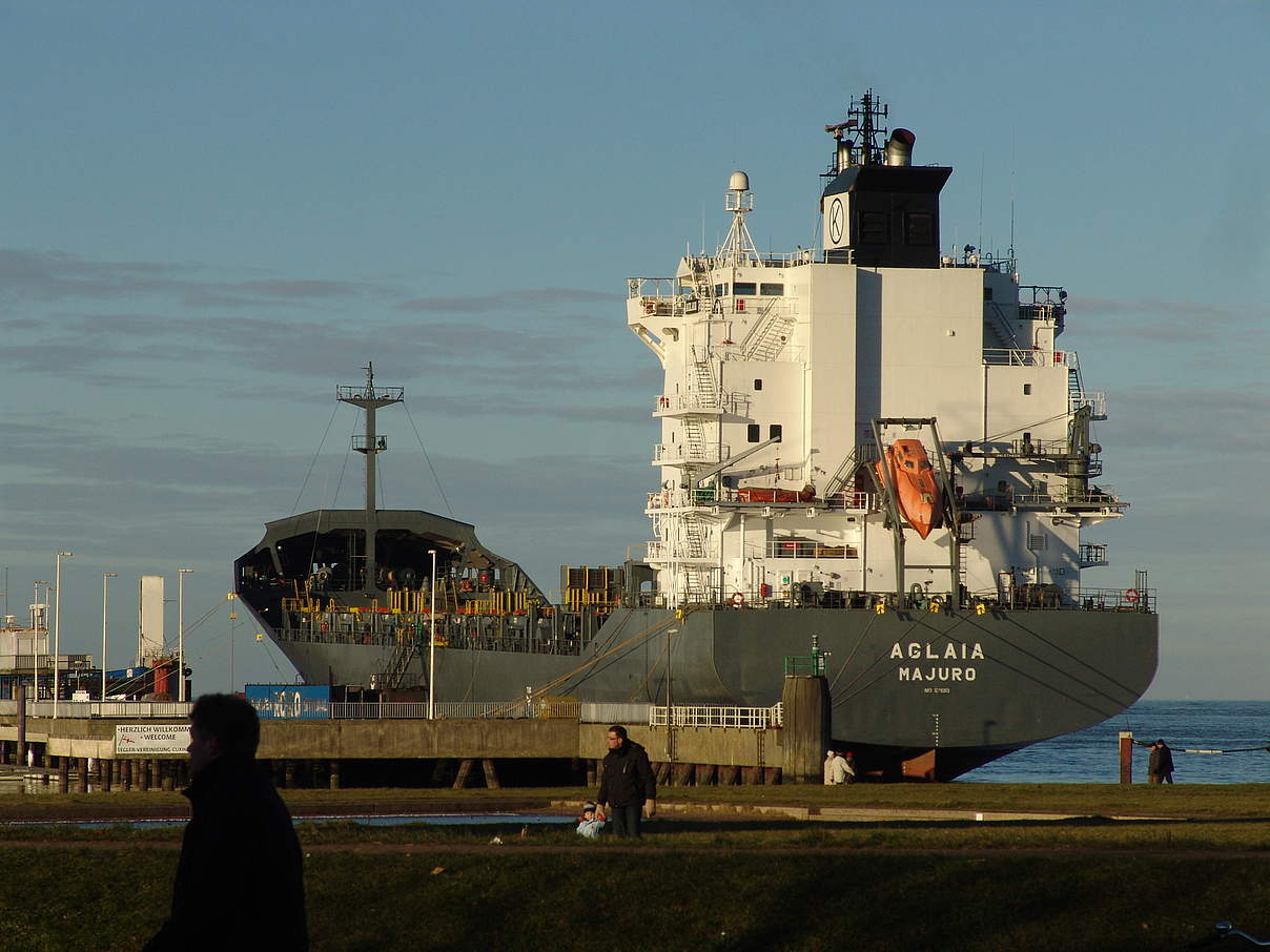 Containerschiffe an der Elbmündung © Karl-Ulrich Stocksieker / WWF