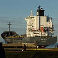 Containerschiffe an der Elbmündung © Karl-Ulrich Stocksieker / WWF