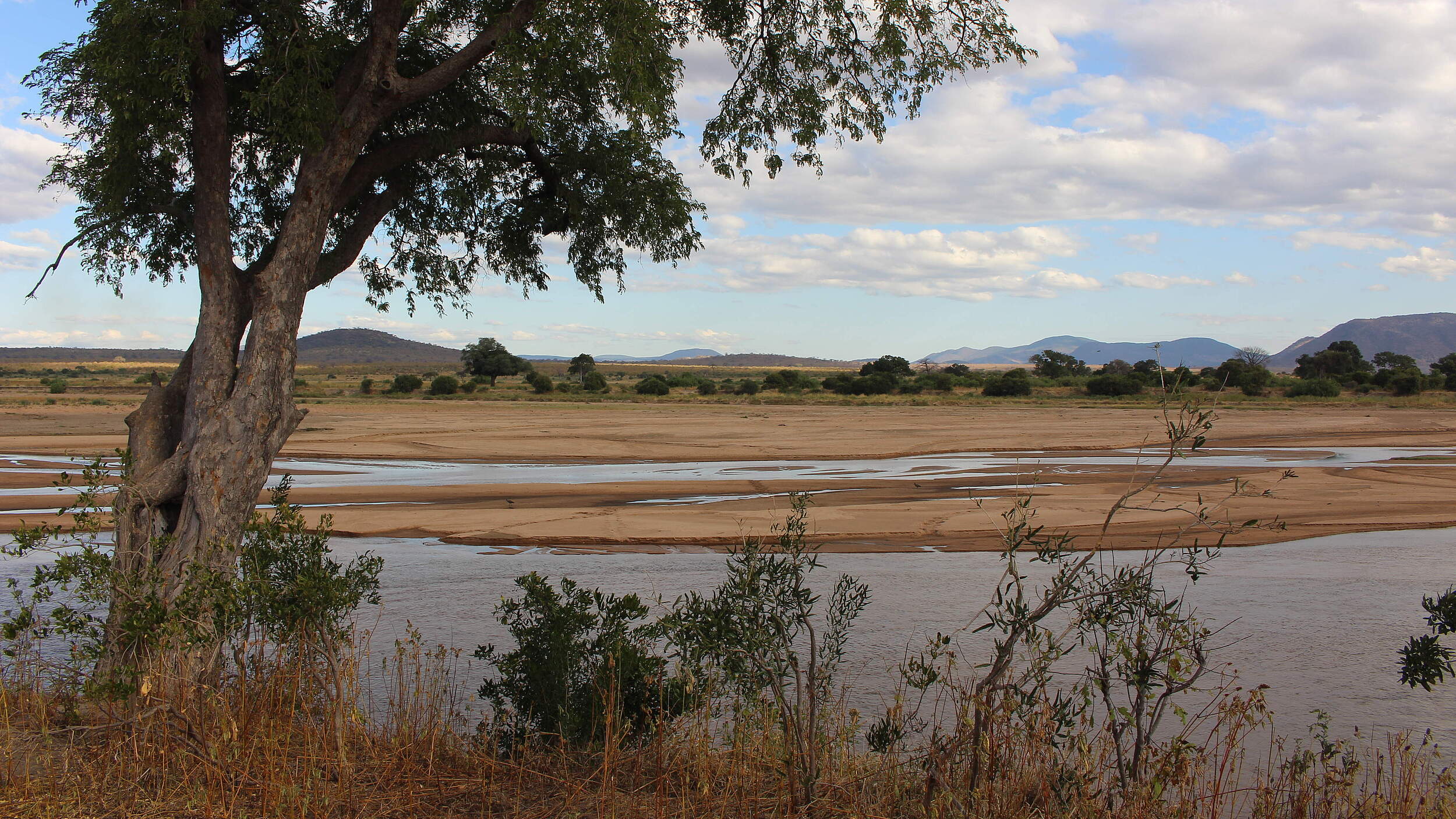 Großer Ruaha in Tansania © Theresa Schiller / WWF