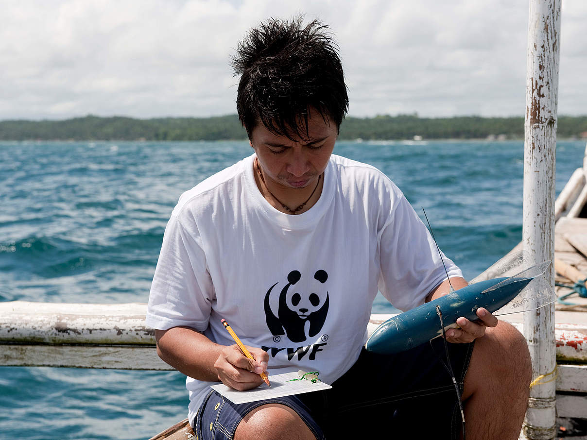 Walhai-Besenderung in den Philippinen © Jürgen Freund / WWF 