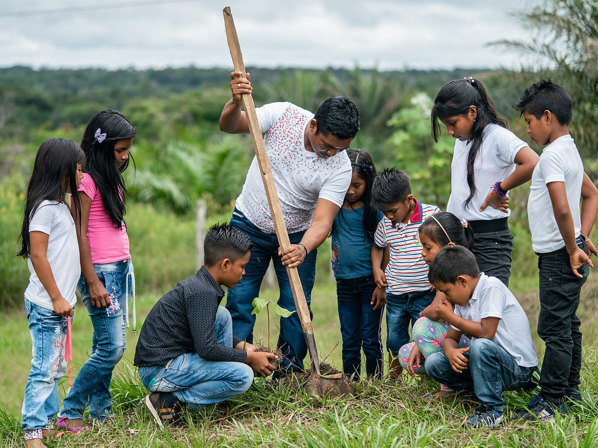 Schüler:innen bei einer Unterrichtsstunde zum Pflanzen von Bäumen © Luis Barreto / WWF UK