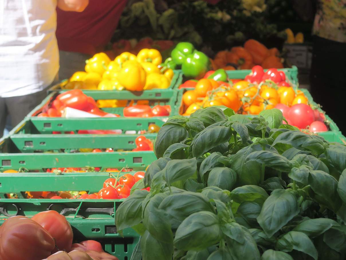 Markt in Dornbirn © Kari Schnellmann