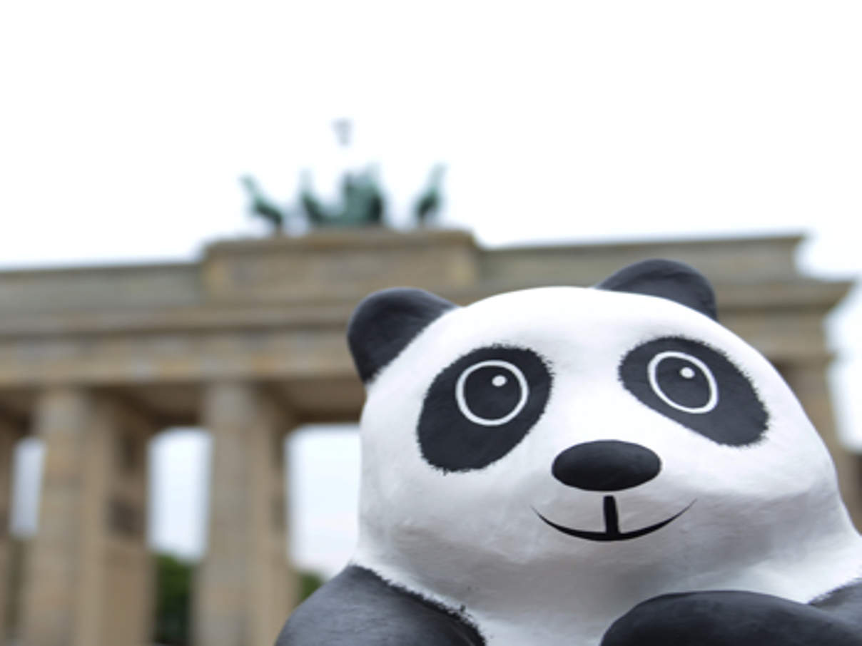 Der WWF ist neues Mitglied der Berliner Stiftungsrunde © WWF