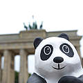 Der WWF ist neues Mitglied der Berliner Stiftungsrunde © WWF
