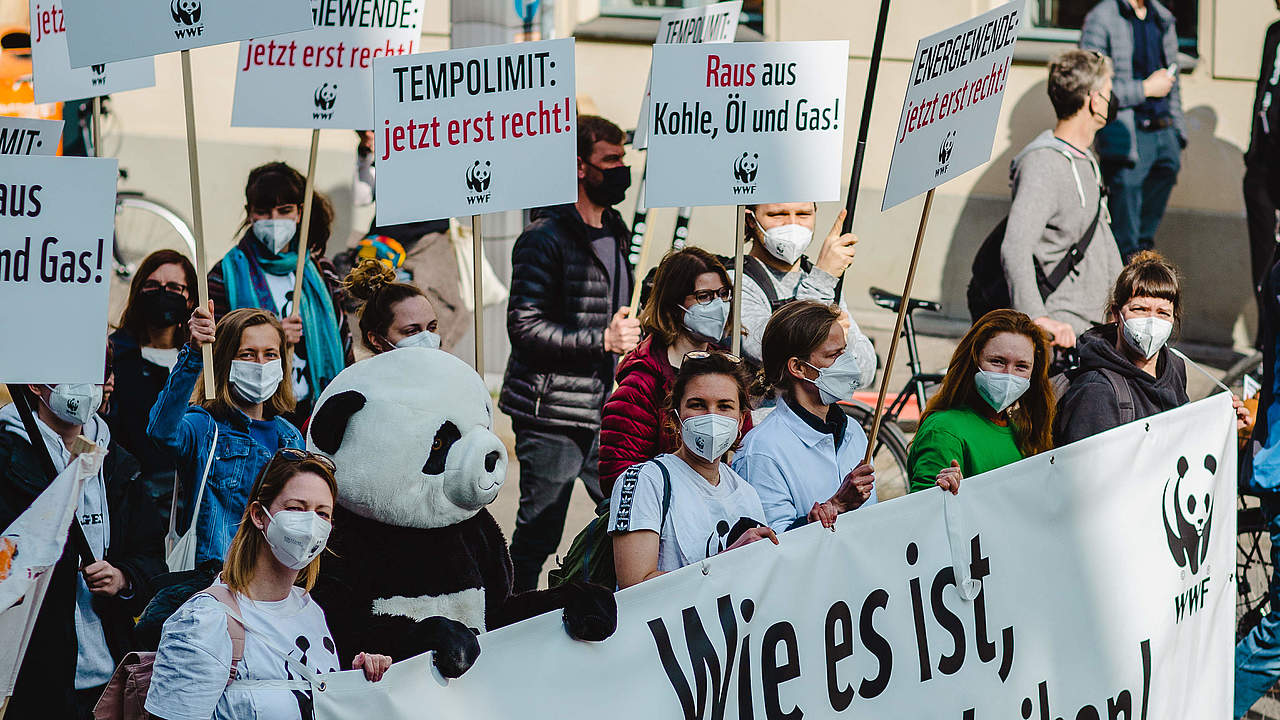 Klimastreik in Berlin © Markus Winkler / WWF 