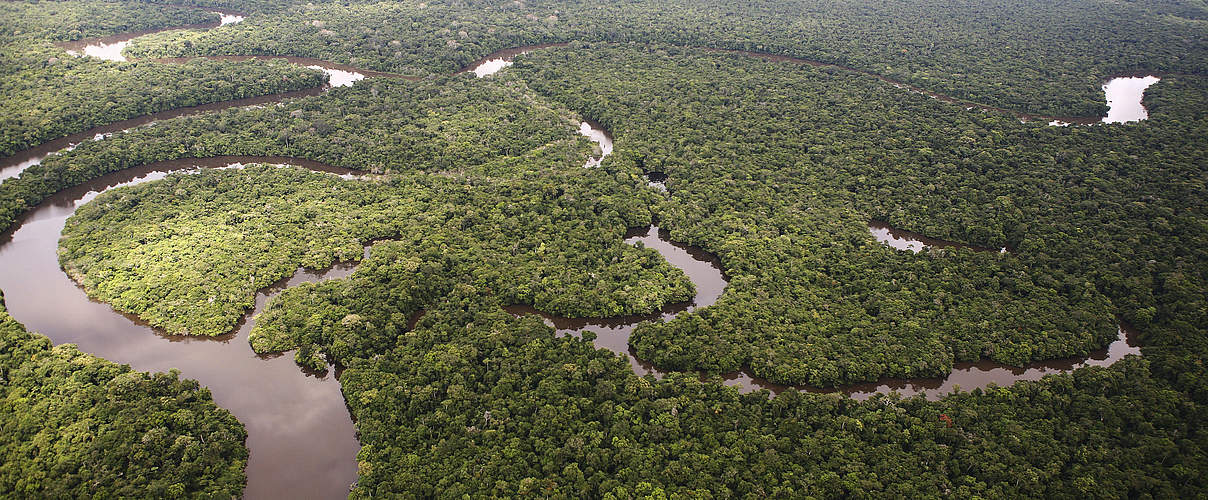 Der Amazonas in Peru © Brent Stirton / Getty Images