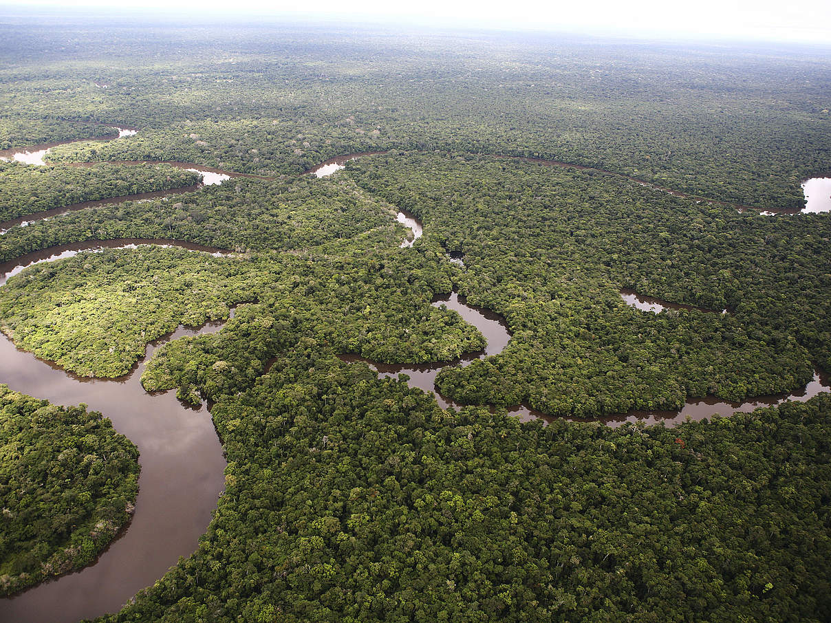 Der Amazonas in Peru © Brent Stirton / Getty Images
