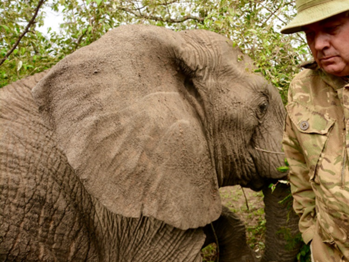 Nick Cowell, Gründer von Elephant Aware Projekt © Elephant Aware Project