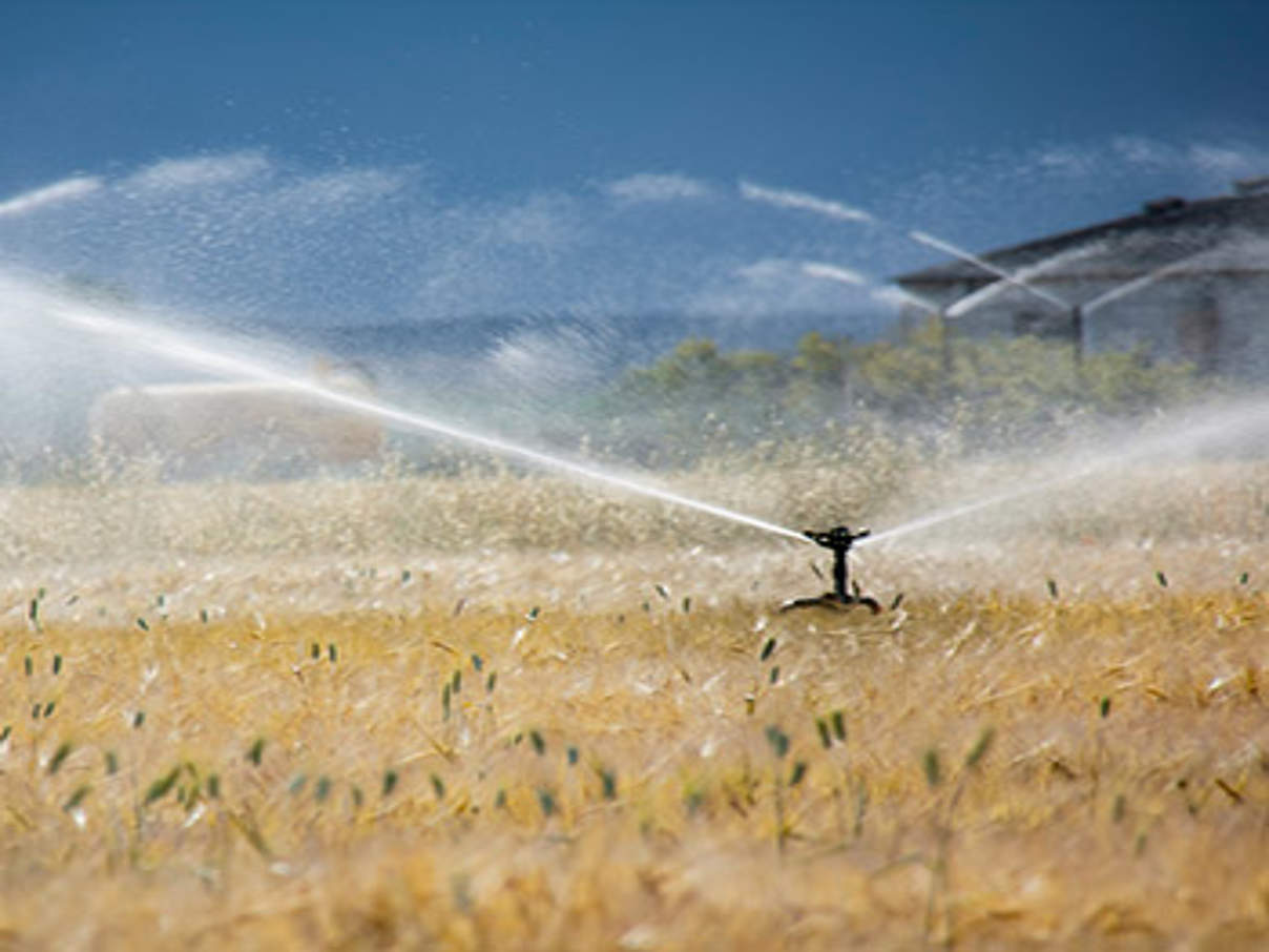 Wassernutzung im Agrarsektor © iStock / Getty Images