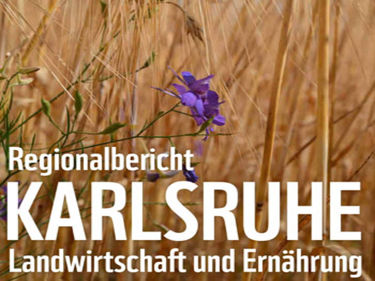 Ein Ergebnis des Regionalberichts: Das Wasser um Karlsruhe ist mit Nitrat belastet (c) WWF