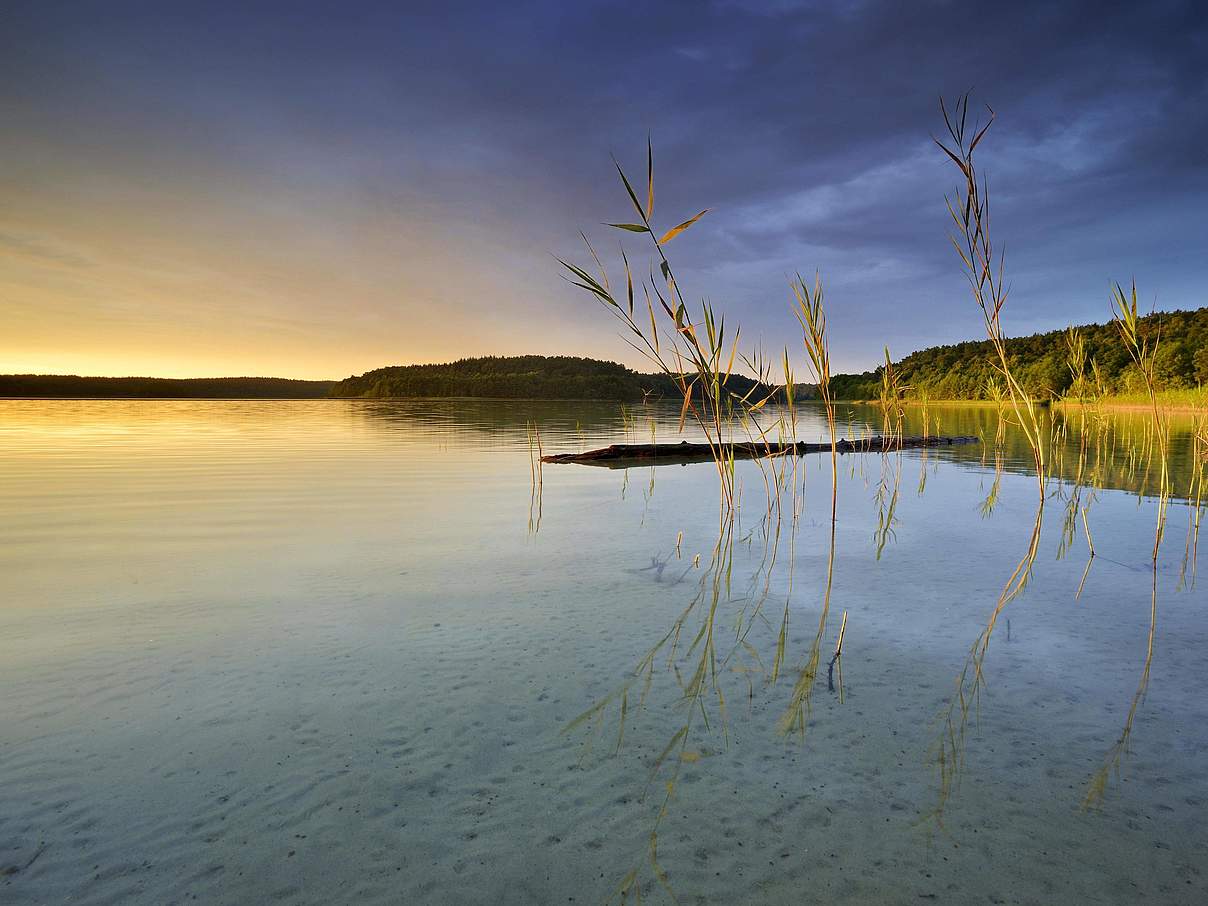 Großer Fürstenseer See an der Mecklenburger Seenplatte @ imago images / imagebroker