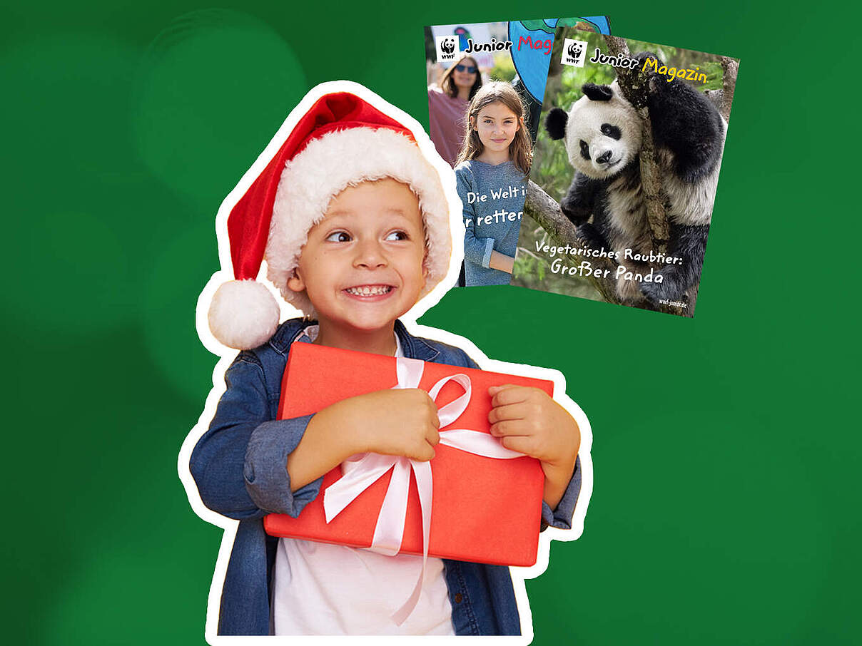 Junge mit Weihnachtsmütze und Geschenk