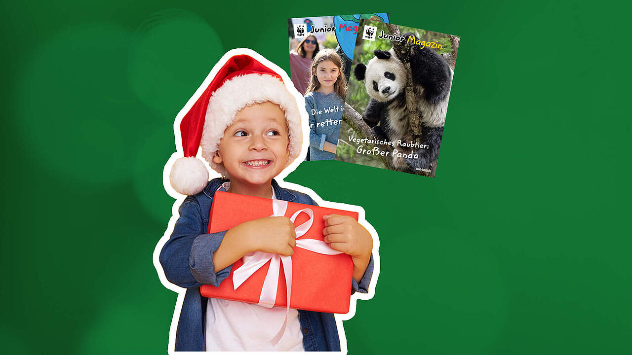 Junge mit Weihnachtsmütze und Geschenk