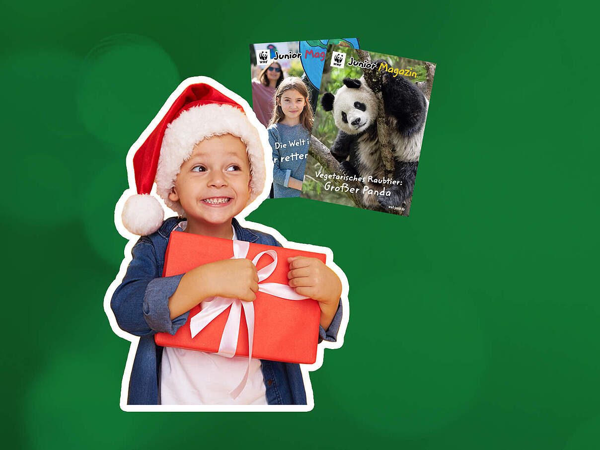 Junge mit Weihnachtsmütze und Geschenk