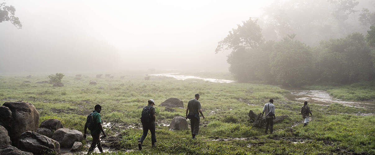 Auf der Suche nach den Gorillas in Dzangha-Sangha © Andy Isaacson / WWF US
