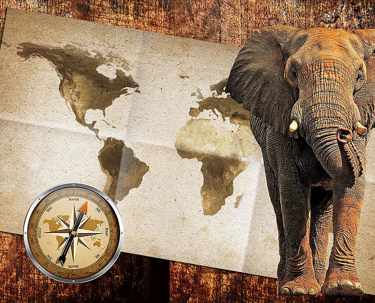 Paten Header Elefant © WWF