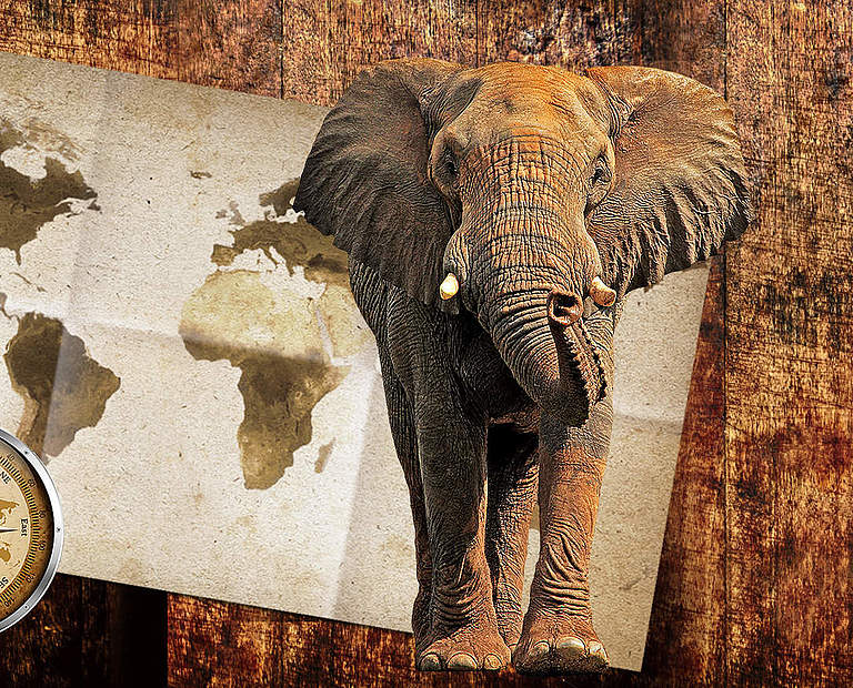 Paten Header Elefant © WWF