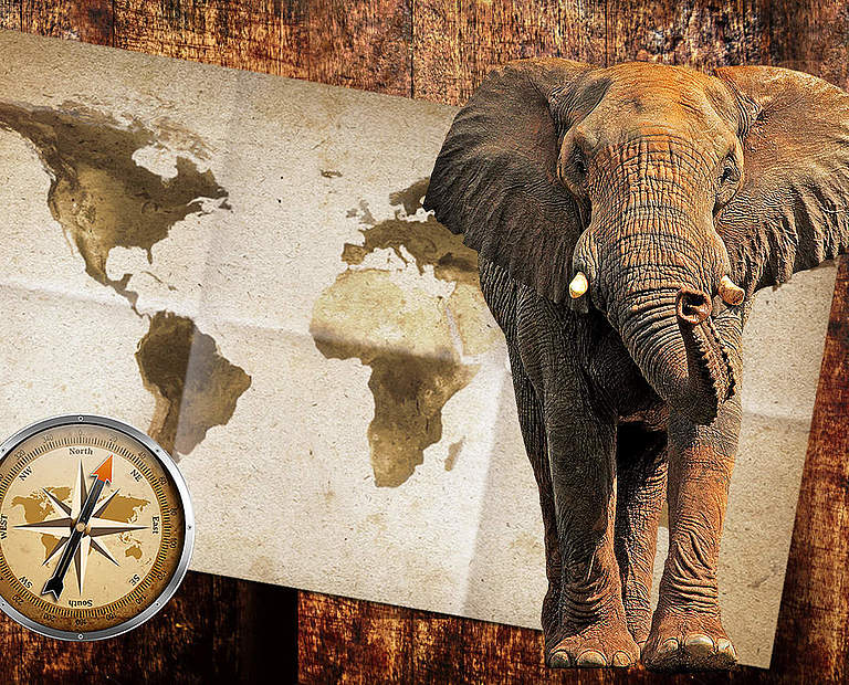 Paten Header Elefant © WWF