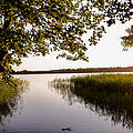 Flusslandschaft in der Uckermark © Peter Jelinek / WWF