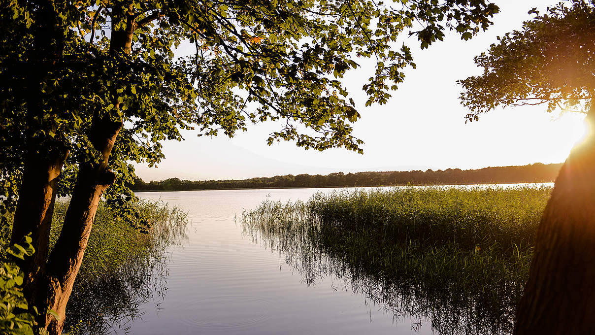 Flusslandschaft in der Uckermark © Peter Jelinek / WWF