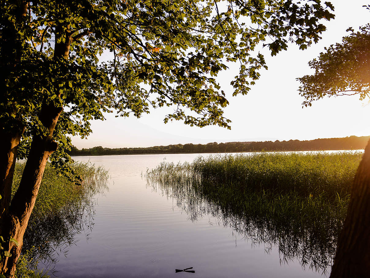 Flusslandschaft in der Uckermark © Peter Jelinek / WWF