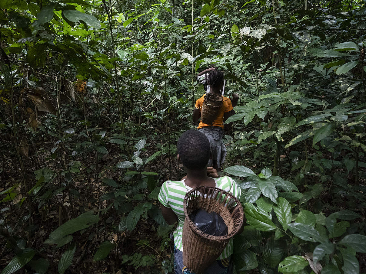 Mitglieder der Ndima-Kali-Association unterwegs im Wald von Dzanga-Sangha © Andy Isaacson / WWF-US