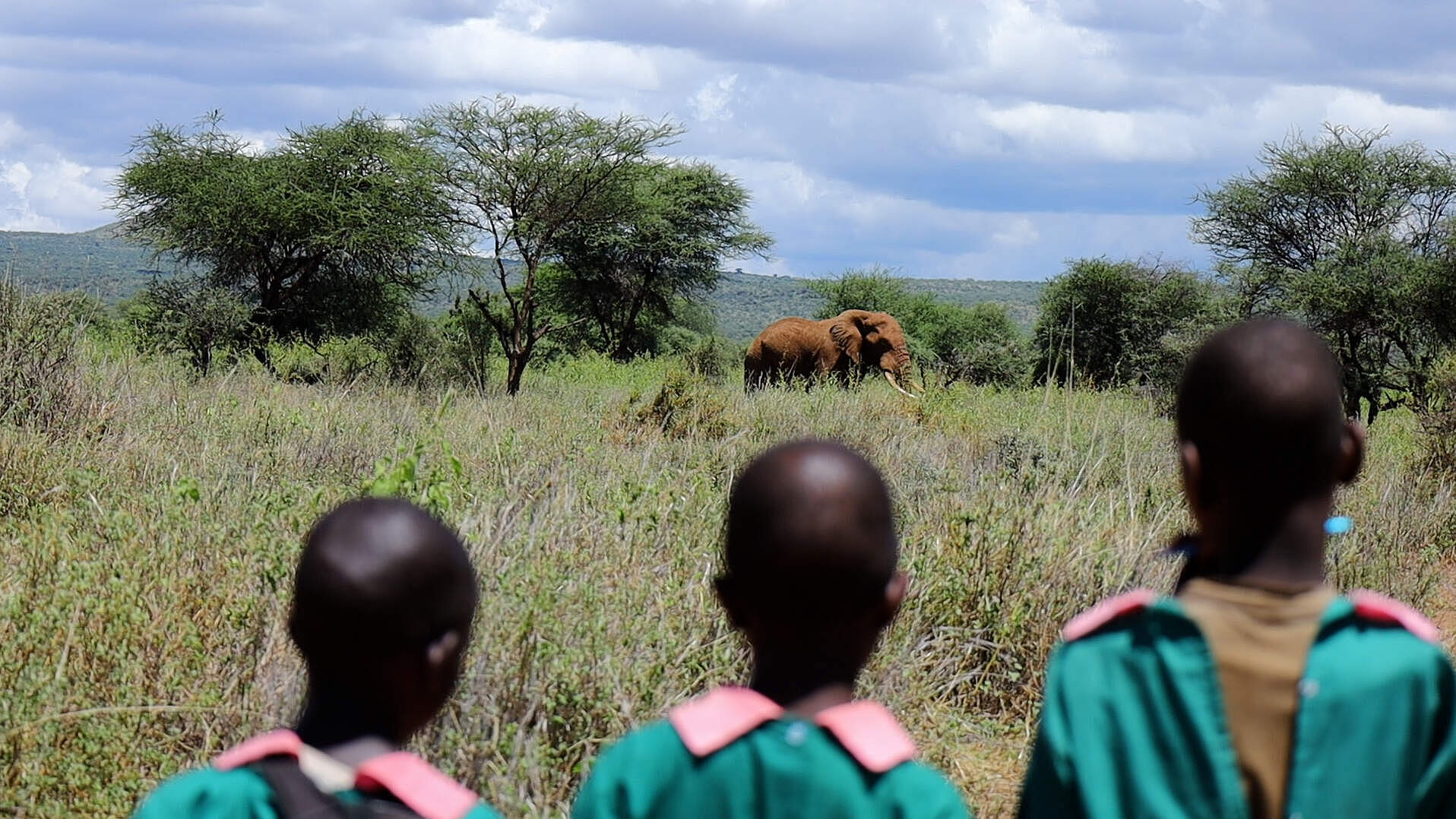 Drei kenianische Mädchen von hinten, vor ihnen ein Elefant