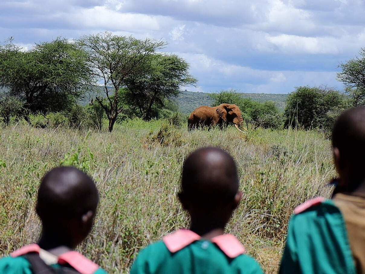 Drei kenianische Mädchen von hinten, vor ihnen ein Elefant