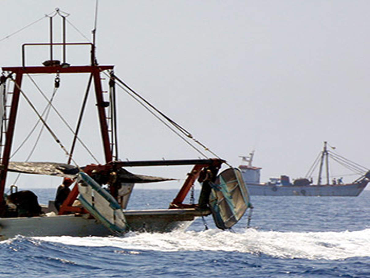 350 HI 110604 Fischerei Mittelmeer c Isaac Vega WWF Canon