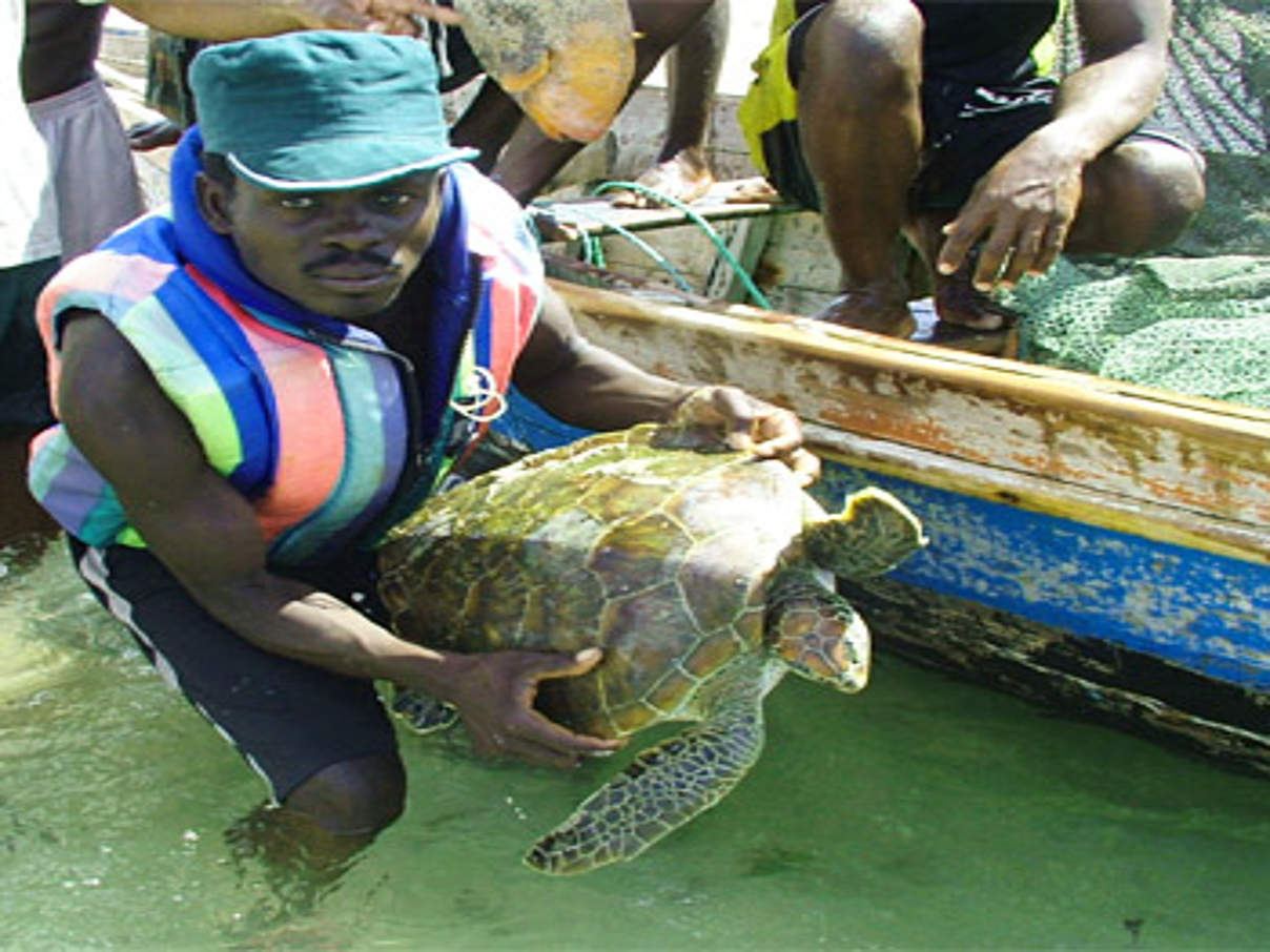 350 Schildkroetenschutz am Primeiras e Segundas Archipel in Mosambik c WWF