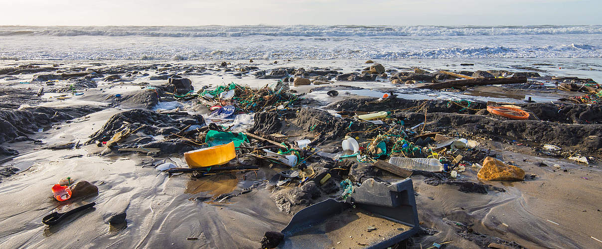Müll im Wasser © Shutterstock / Lycia Walter / WWF