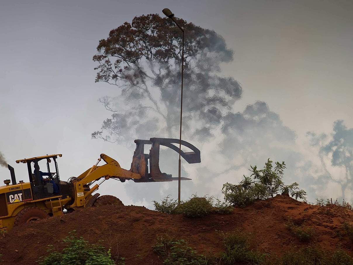 Abholzung © Brent Stirton / Getty Images / WWF UK